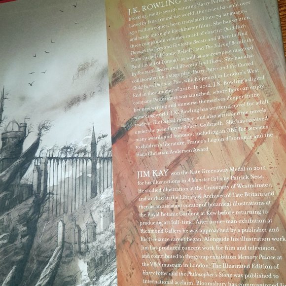 The Philosopher's Stone and Chamber of Secrets books Illustrated by Jim Kay - Picture 6 of 11